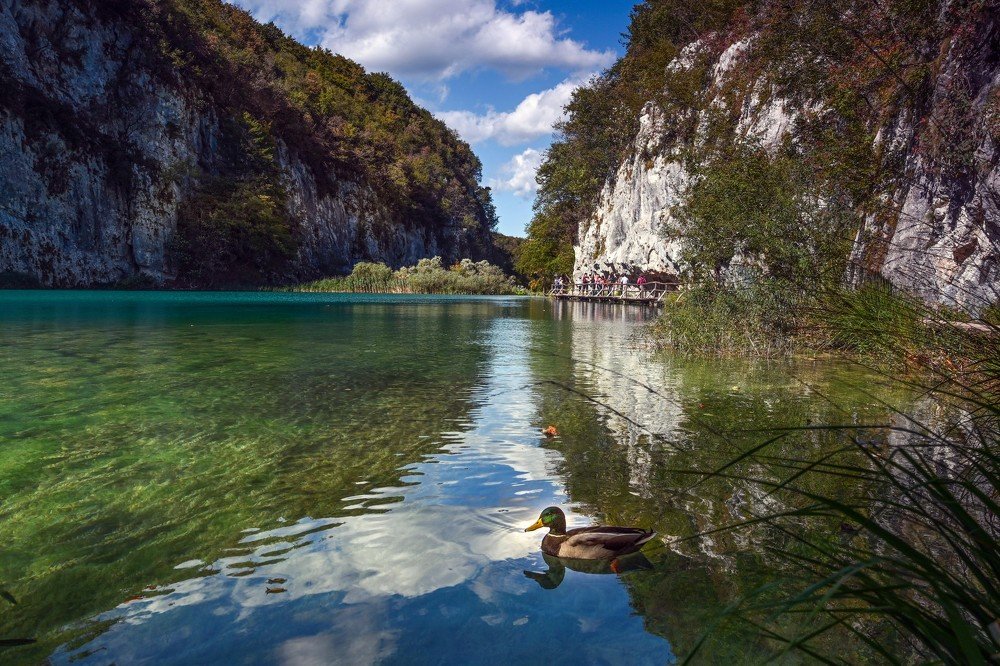 Photograph by YURI GARNAGA