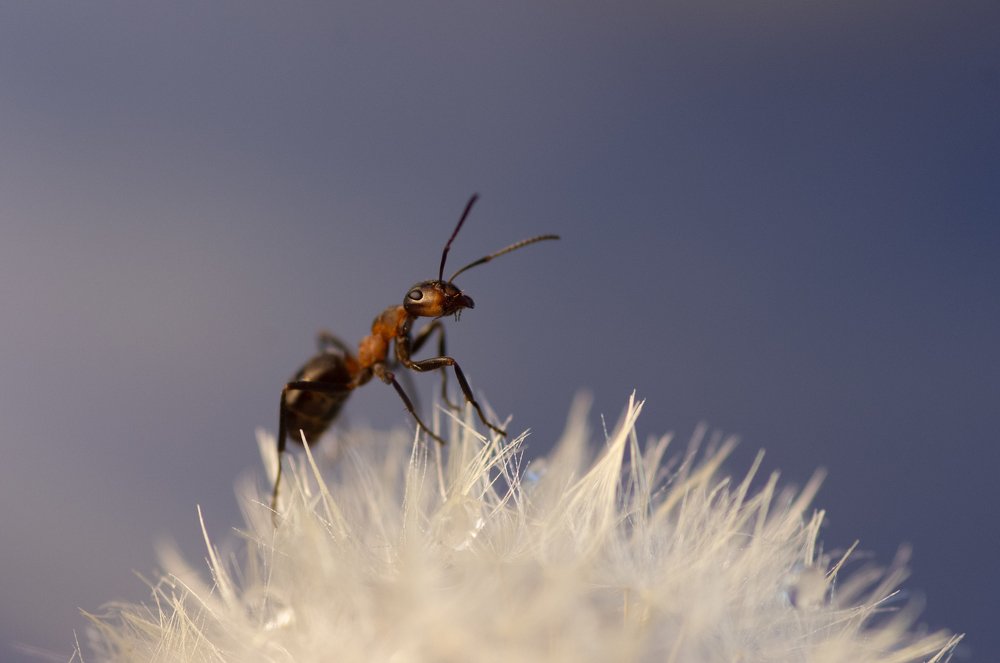 Photograph by Анастасия Яныкина