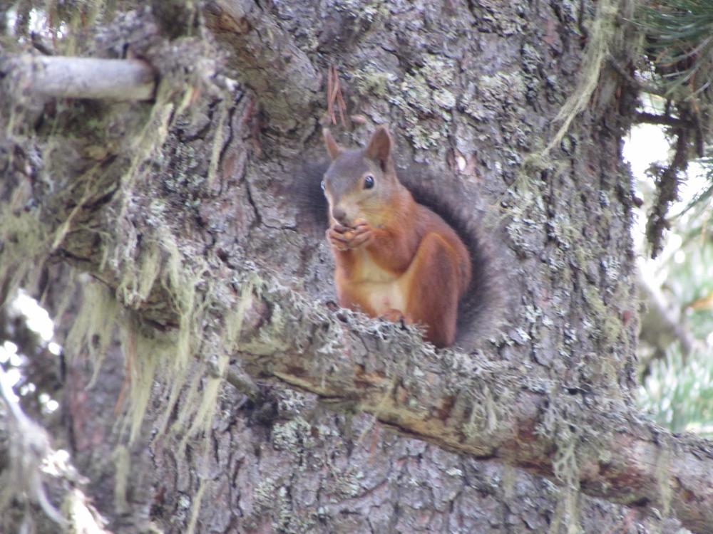 Photograph by Андрей Зиновьев