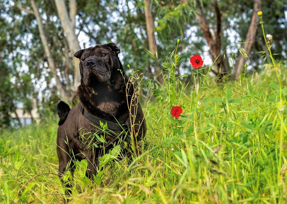 Photograph by YURI GARNAGA