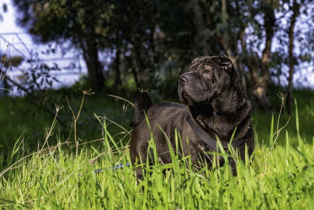 Photograph by YURI GARNAGA