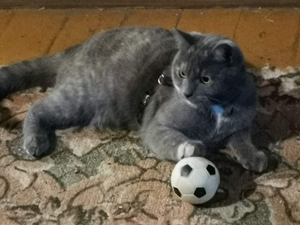 Фотография автора Рутковская Жанна